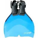 Monopalme française